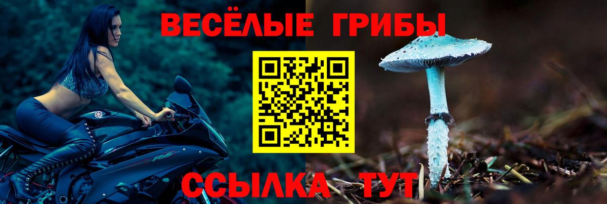 Галлюциногенные грибы GOLDEN TEACHER  Галлюциногенные грибы GOLDEN TEACHER  Анжеро-Судженск  Вход с VPN 