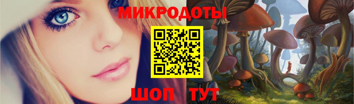 Псилоцибиновые грибы Cubensis Анжеро-Судженск